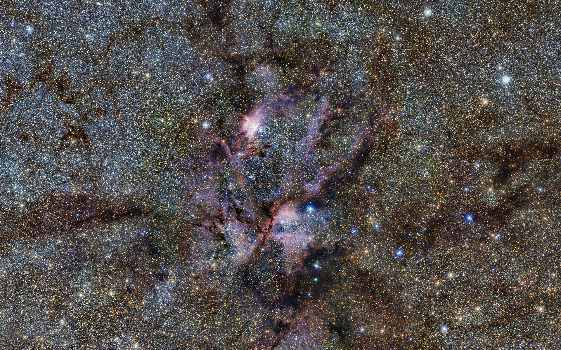 A dense field of stars with dark dust clouds and colorful nebulae formations in deep space, as seen by Hubble near the Pismis 24 cluster.