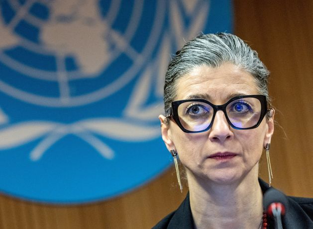 Irish MEP calls on Stripe to help lift US sanctions on UN official for human rights in Palestine