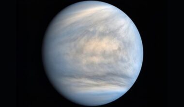 Photographed in ultraviolet light and rendered in false color, this view reveals the complexities of the clouds that coat Venus. Credit: JAXA/ISIS/DARTS/Damia Bouic