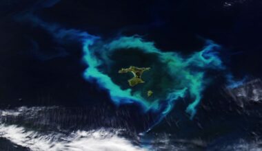 A satellite photo showing a group of islands in the Pacific Ocean with a glowing green ring of algae surrounding them