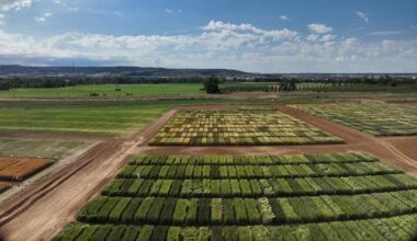 Artificial Intelligence And Drones To Select The Most Resilient Wheat – Eurasia Review