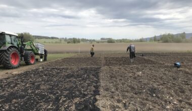 Biochar Has Limited Effect On Potato Yields, But May Improve Soil And Climate – Eurasia Review