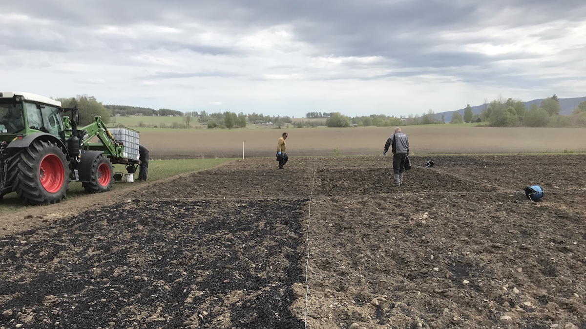 Biochar Has Limited Effect On Potato Yields, But May Improve Soil And Climate – Eurasia Review