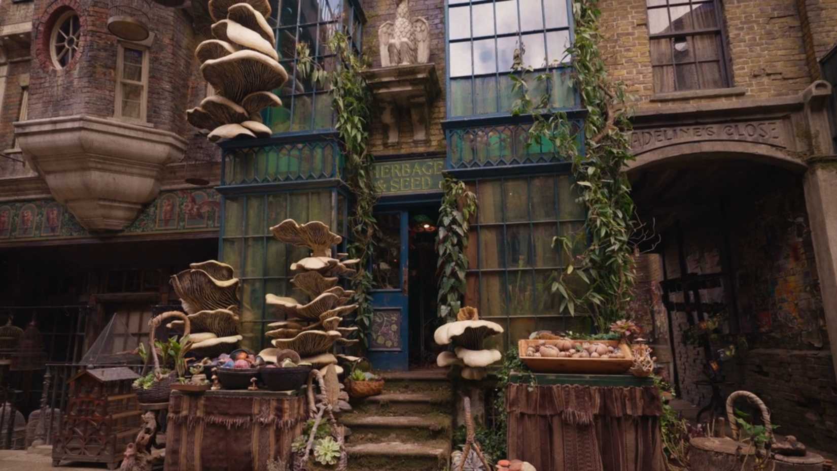 A herb shop in Diagon Alley in the Harry Potter TV Show