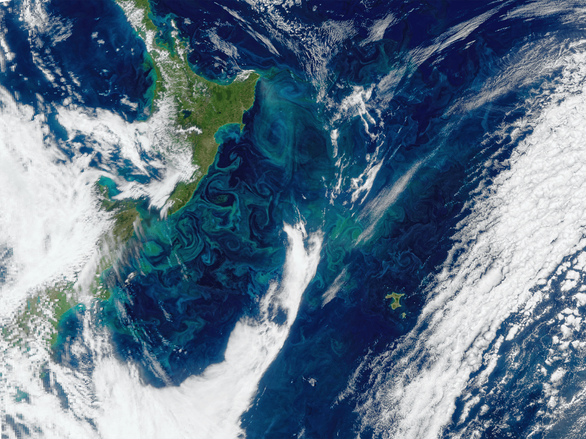 A Summer Phytoplankton Bloom Is Seen Off The East Coast Of New Zealand