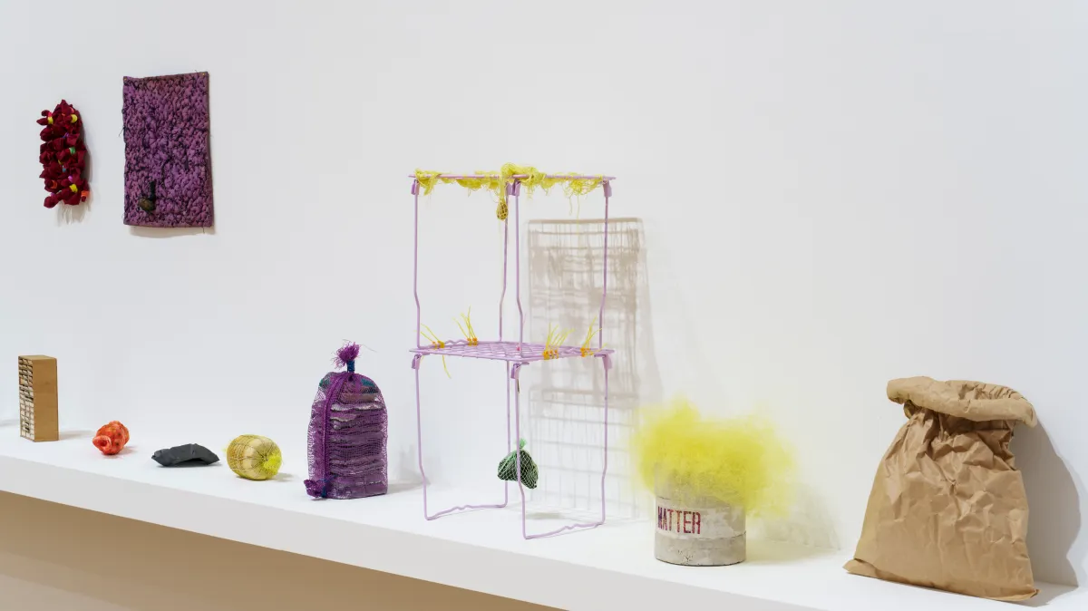 Veronica Ryan review — is it art or rubbish? I know which way I’m leaning…