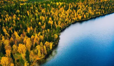 A “lost world” beneath the North Sea was once full of forests