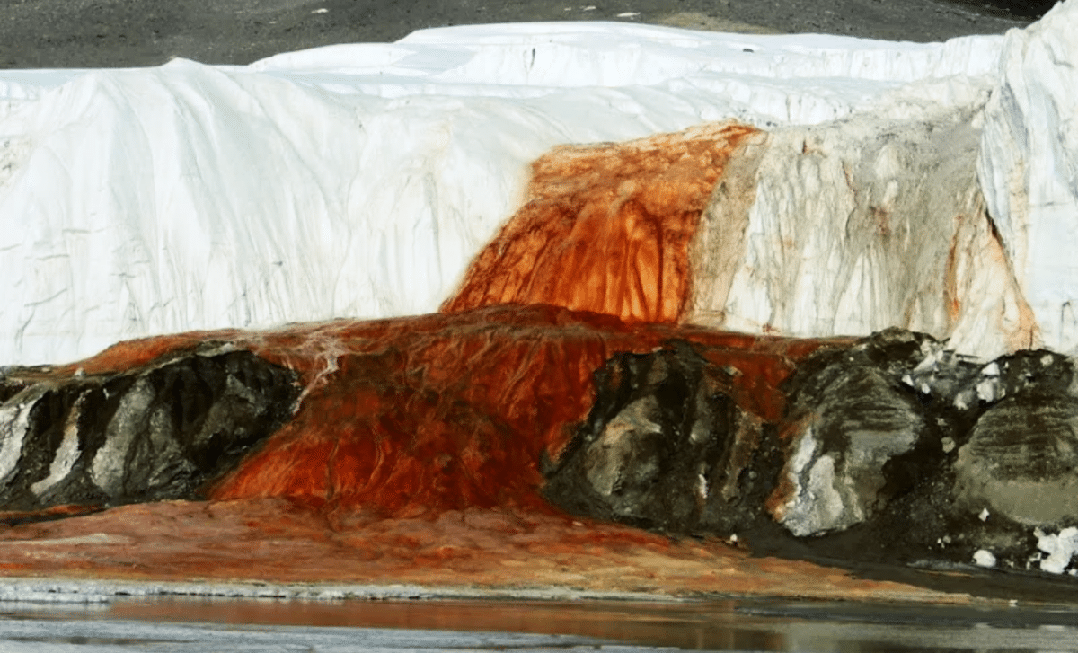 After A Century Of Mystery, Scientists Finally Discover The Cause Of Blood Falls In Antarctica