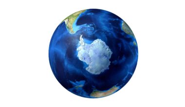 Ancient ocean extinction happened in stages, not all at once