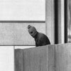 50 years ago, the Munich Olympics massacre changed how we think about terrorism
