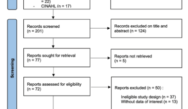 Application of Honey Dressing in the Management of Postoperative Wounds, Ulcers, and Burns: A Systematic Review