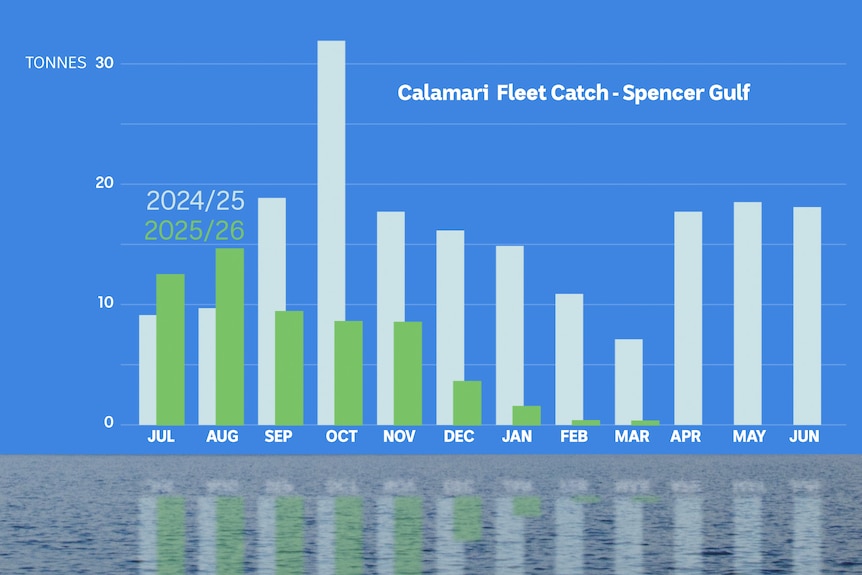 A graph showing the impact of the algal bloom on calamari.