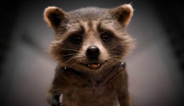 Rocket Raccoon Special Explores Life Before Guardians Of The Galaxy, Per Marvel