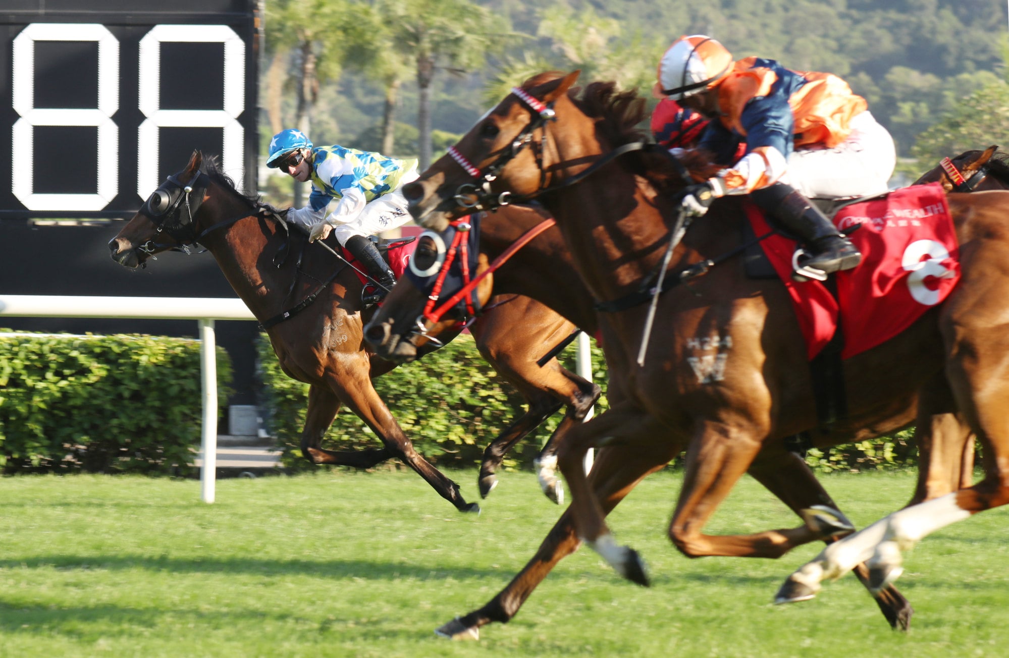 Galaxy Patch (far side) wins at Sha Tin in November. Galaxy Patch (far side) wins at Sha Tin in November.