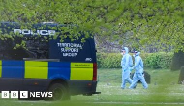 Eight more arrests made after London arson attacks - BBC