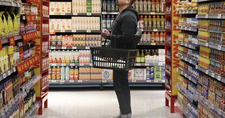 Canadians to receive one-time grocery benefit payment on June 5 - National