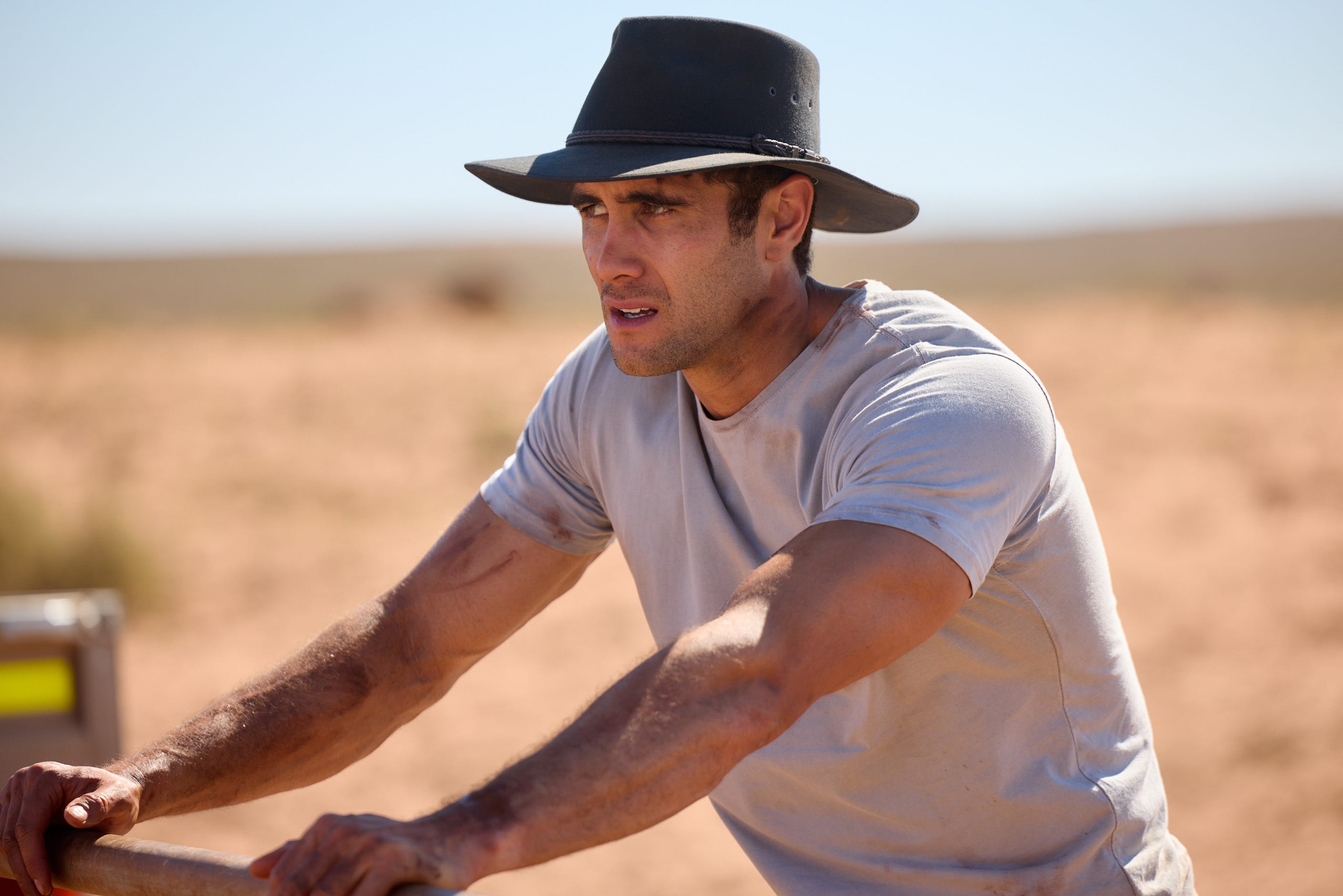 embargo 20042026 tane parata in home and away