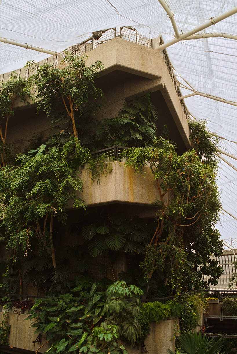 david altrath documents the jungle suspended inside london's barbican conservatory - 4