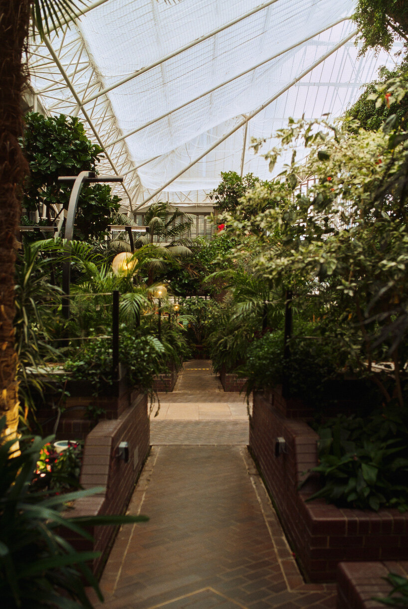 david altrath documents the jungle suspended inside london's barbican conservatory - 5