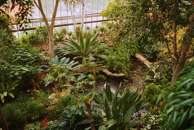 david altrath documents the jungle suspended inside london's barbican conservatory - 1