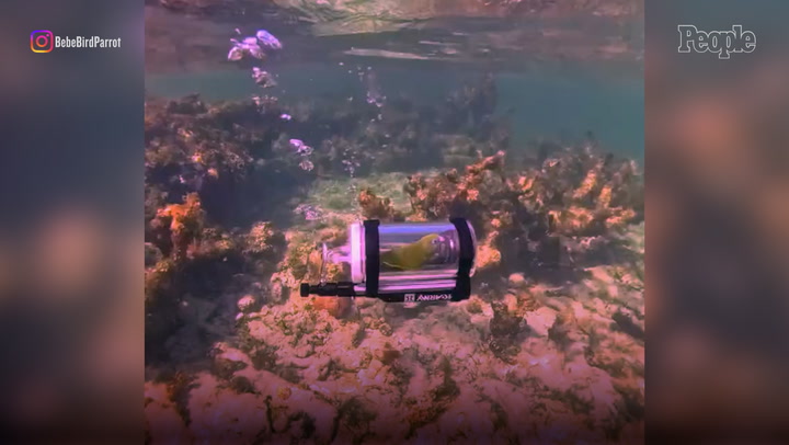 Yahoo entertainment home