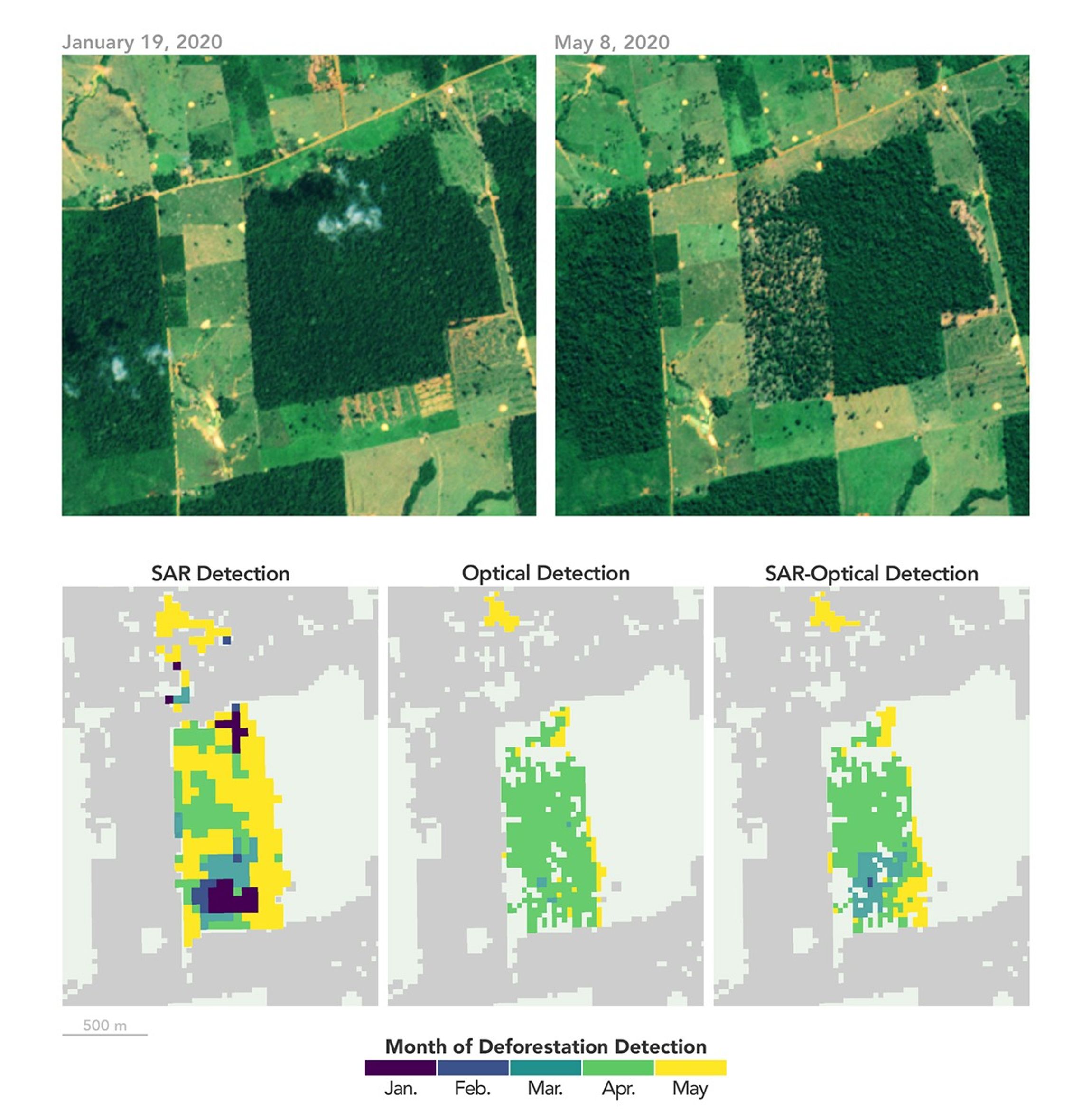 Figure showing before-and-after 2020 deforestation and three maps comparing detection timing using SAR, optical, and combined data.