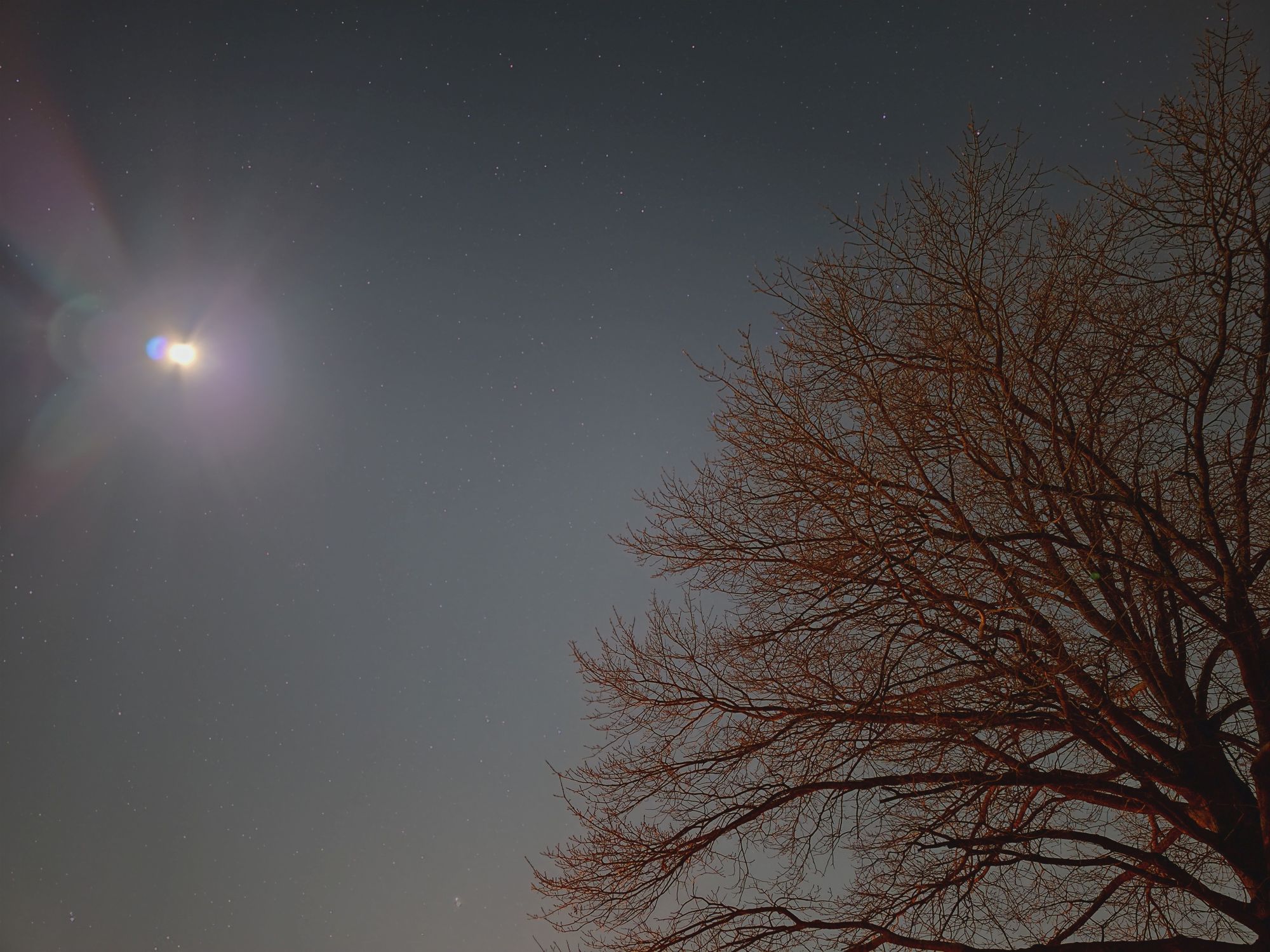 Samsung Galaxy S26 Ultra Expert RAW sample.