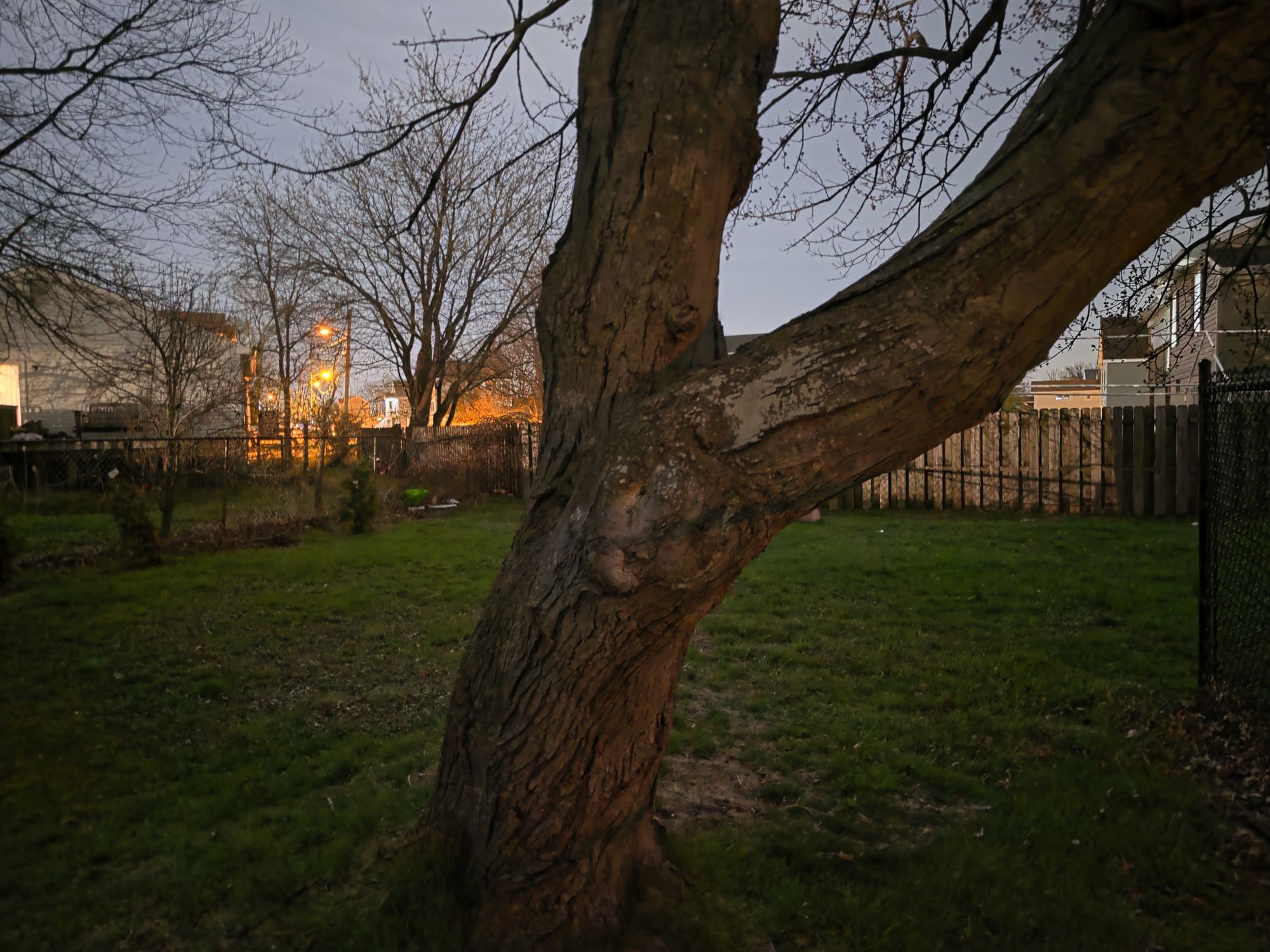 Samsung Galaxy S26 Ultra Night Mode low light sample.