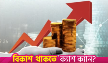 Govt aims for $1 trillion economy by 2034: Finance minister