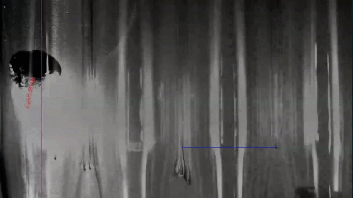 Wild Experiment Suggests Lasers and Graphene Could Propel Future Spacecraft