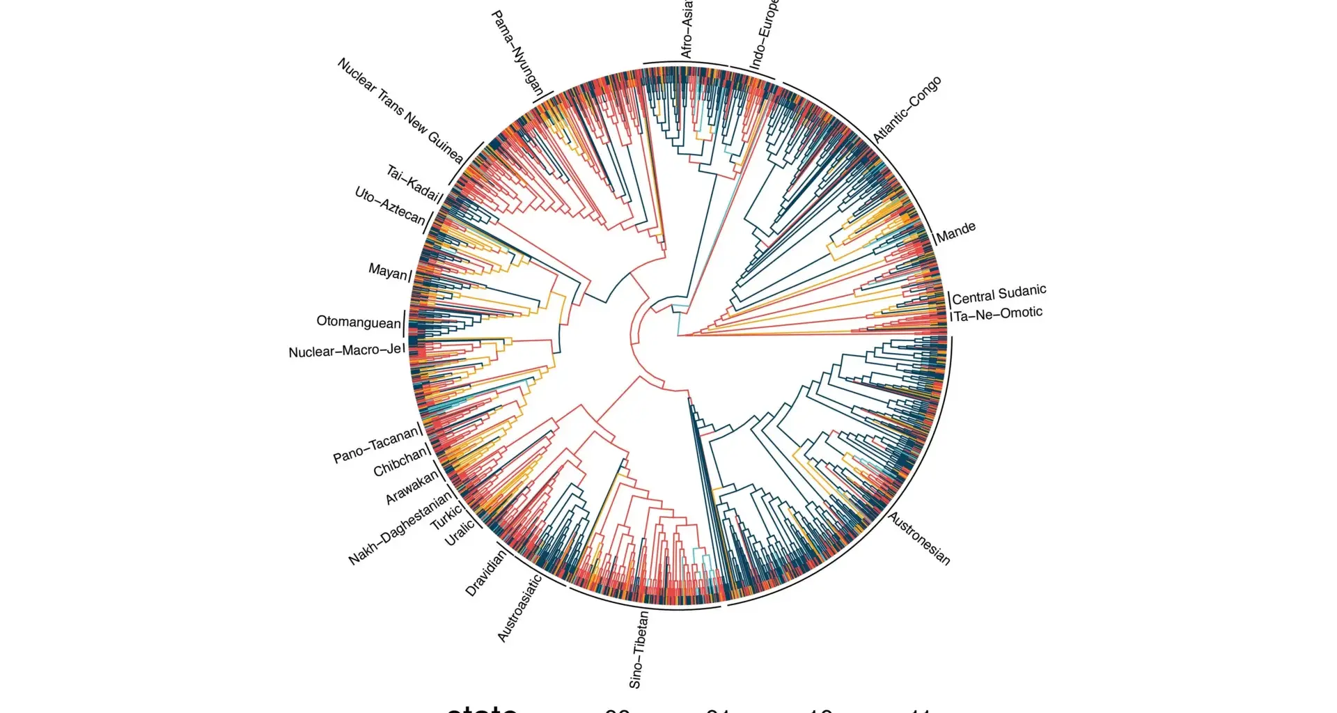 Study of 1,700 languages reveals surprising hidden patterns