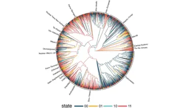 Study of 1,700 languages reveals surprising hidden patterns