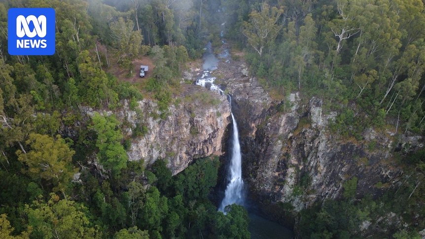 Court makes landmark decision after illegal logging in NSW state forest