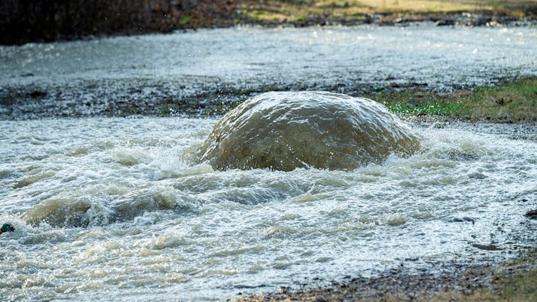 A surge of water bubbles up to the surface of flowing water.
