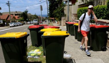 What can you actually put in your yellow recycling bin? An environmental scientist explains