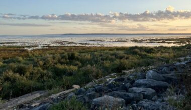 New research finds few improvements for British Columbia’s endangered wildlife