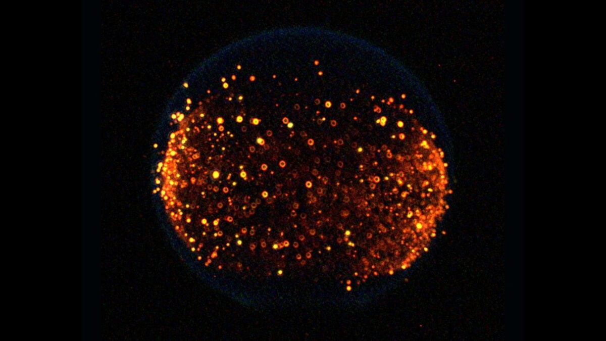 NASA Plans to Start a Fire on the Moon in First-of-Its-Kind Experiment