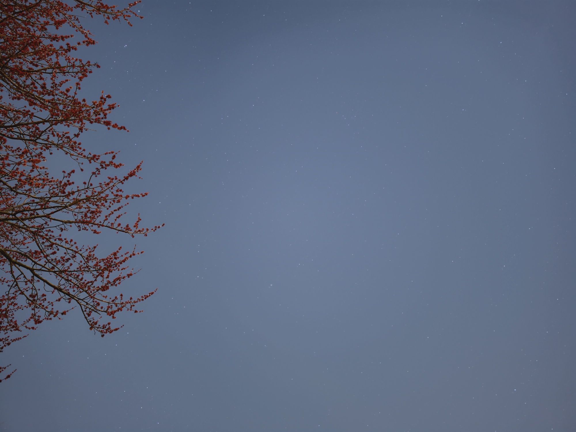 Samsung Galaxy S26 Ultra Expert RAW sample.