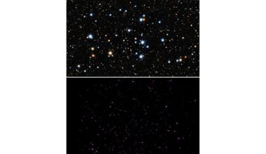 Dimming X-rays May Boost Life on Young Sun-like Planets