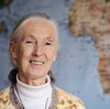 British primatologist and conservationist Jane Goodall's decades of research on chimpanzees in the wild changed perceptions of relations between humans and animals.