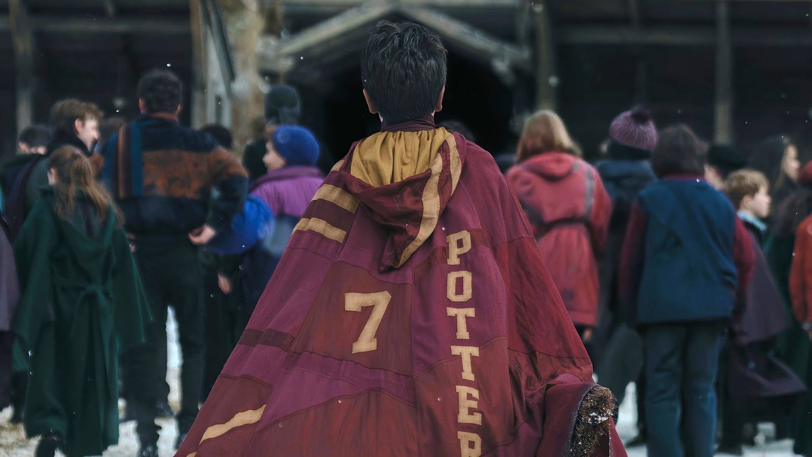 HBO's 'Harry Potter' Reboot Series Is Officially Including a Character Cut From the Movies