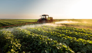 BBVA Mexico supports FIRA (FEFA) in the issuance of trust-issued certificados bursátiles in the local market for a total amount of MXN 7,017 million