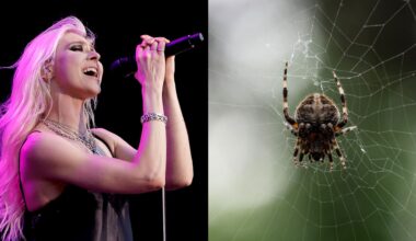 Taylor Momsen of The Pretty Reckless performs during the Power Up tour at Nissan Stadium on May 21, 2025 in Nashville, Tennessee. And a spider.