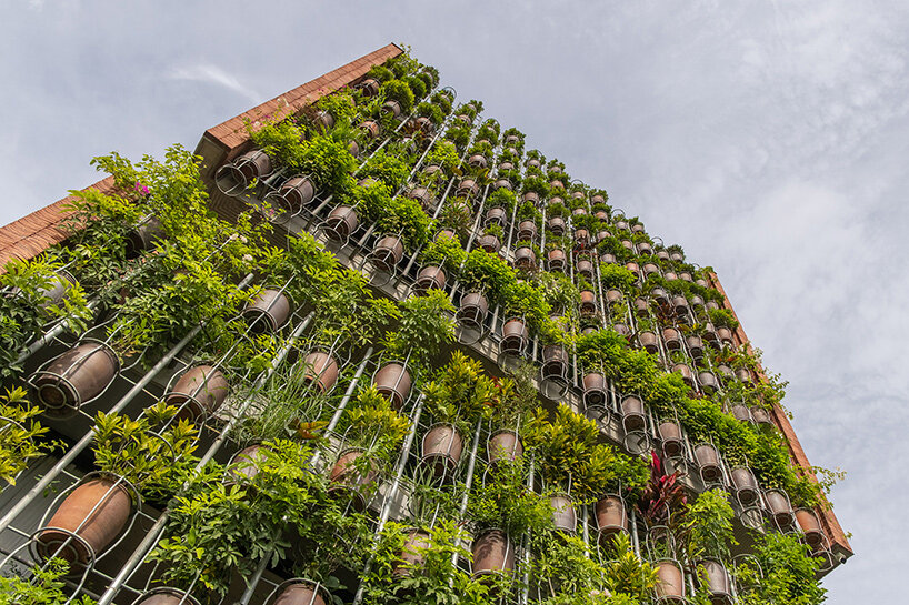 H&P architects flying vegetation