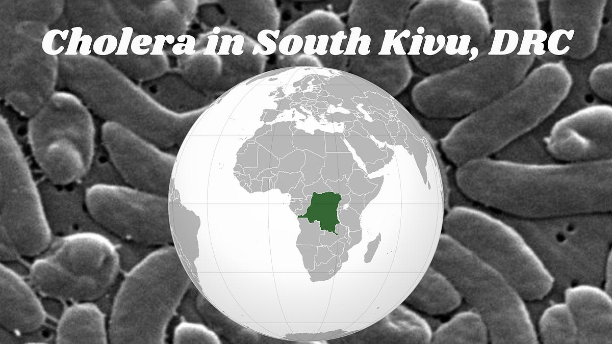 More than 4,600 cases of cholera reported in South Kivu in 1st quarter of 2026
