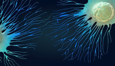 Migrating and spreading cancer cell - 3d illustration