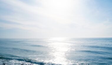 A tranquil seascape with soft waves reflecting sunlight under a bright, clear sky.