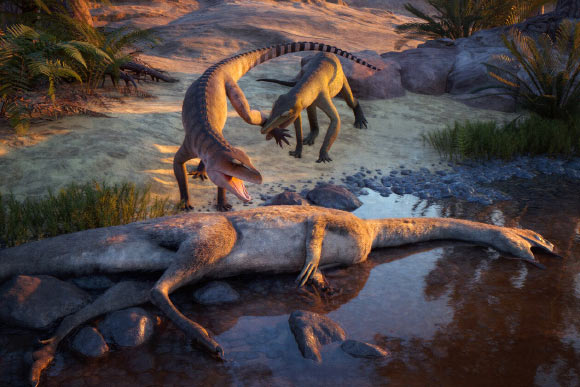 Eosphorosuchus lacrimosa (left) is disturbed by Hesperosuchus agilis (right) near a Coelophysis carcass at what will become modern-day Ghost Ranch, New Mexico, the United States. Image credit: Julio Lacerda.