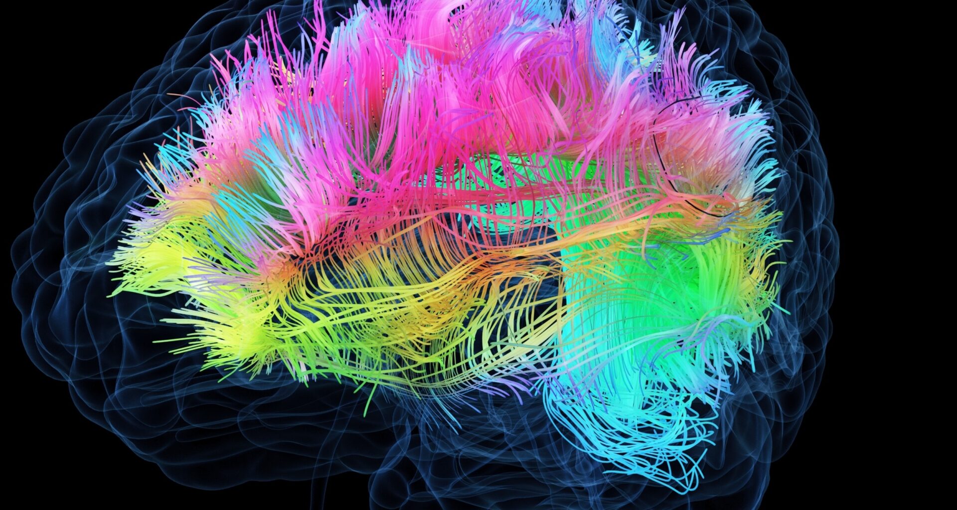 Imagination is linked to deeper brain networks than expected