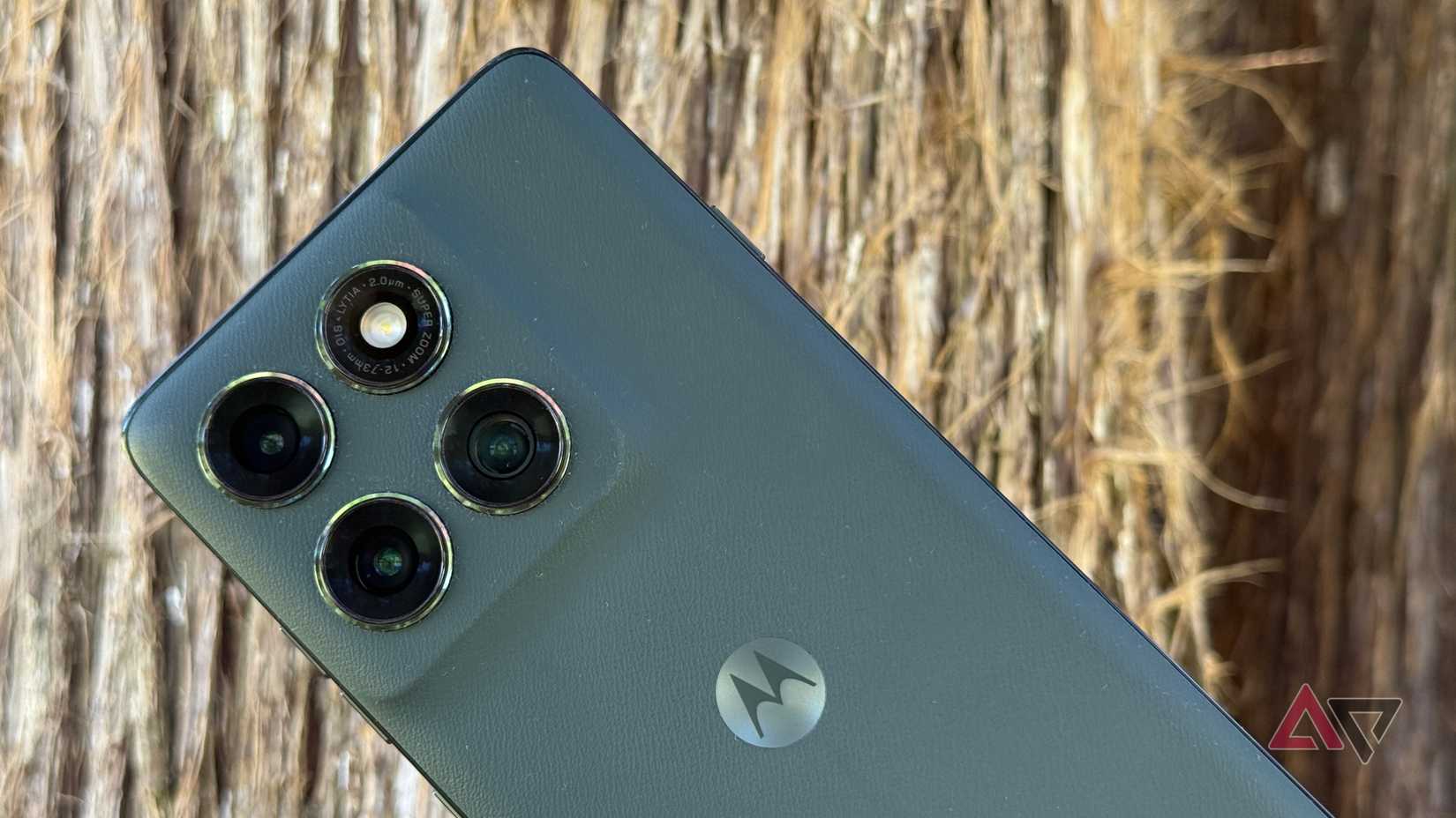 Motorola Edge 2025 held up against a brown tree